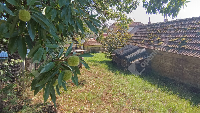 26. kép | Eladó Családi ház, Nagykanizsa (#177221)