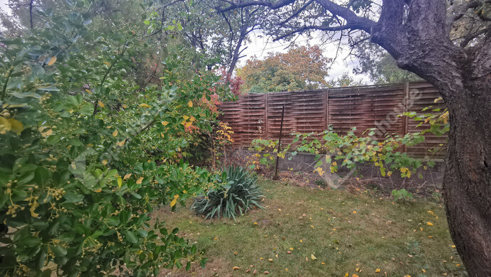 8. kép | Eladó Családi ház, Székesfehérvár (#177278)