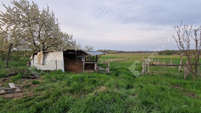 7. kép | Eladó Családi ház, Csép (#181097)