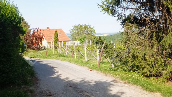 20. kép | Eladó Családi ház, Zalaegerszeg (#166699)