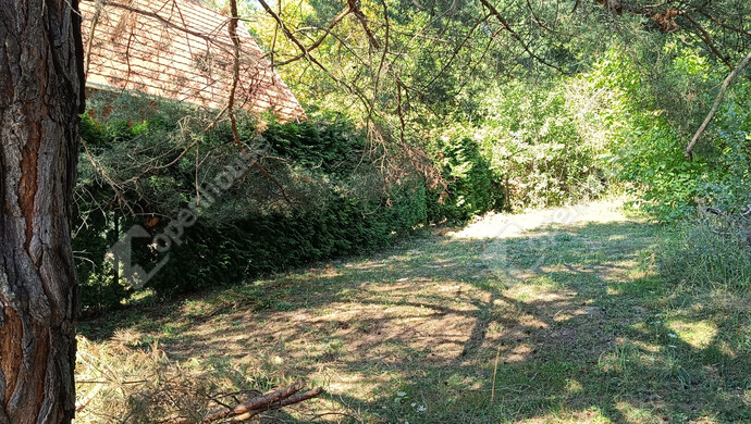 17. kép | Eladó Családi ház, Kistolmács (#176743)