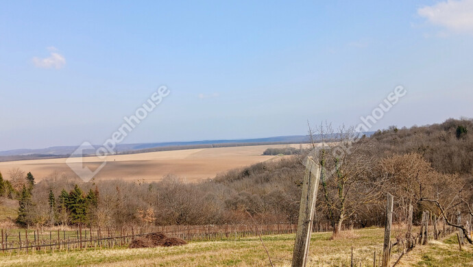 7. kép | Eladó Zárt kert, Bak (#180229)