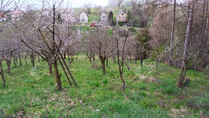 17. kép | Eladó Zárt kert, Vasvár (#180645)