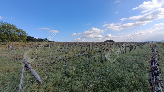 0. kép | Eladó Telek, Harka (#177346)