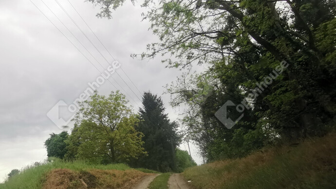 4. kép | Eladó Nyaraló, Őrtilos (#175761)
