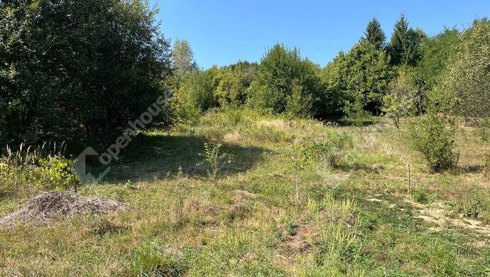 11. kép | Eladó Nyaraló, Homokkomárom (#175963)