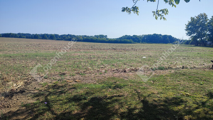 51. kép | Eladó Családi ház, Letenye (#176537)