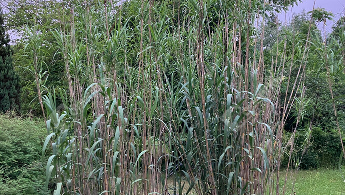 17. kép | Eladó Zárt kert, Bőny (#180133)