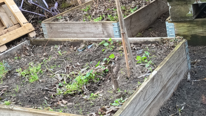 23. kép | konyhakerti növényes ágyás | Eladó Nyaraló, Szeged (#179659)