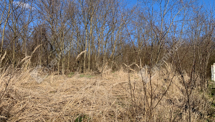 10. kép | Eladó Nyaraló, Homokkomárom (#179898)