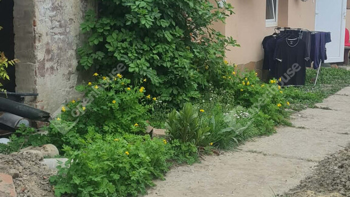 19. kép | Eladó Sorház, Nagykanizsa (#180746)