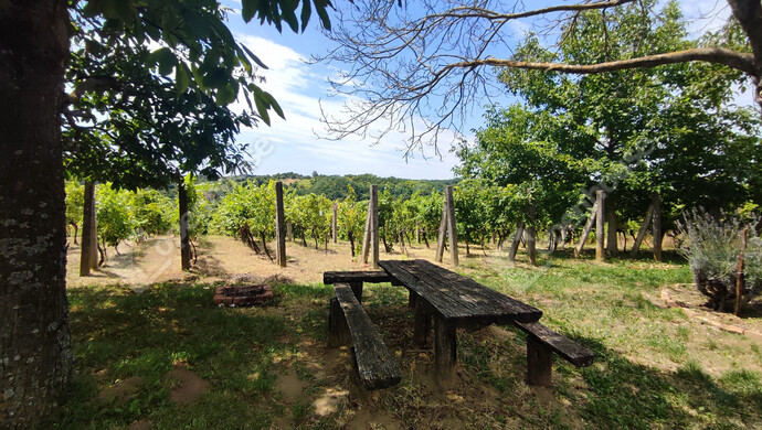 11. kép | Eladó Nyaraló, Homokkomárom (#174607)