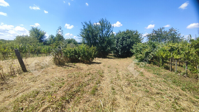 45. kép | Eladó Nyaraló, Szepetnek (#176202)