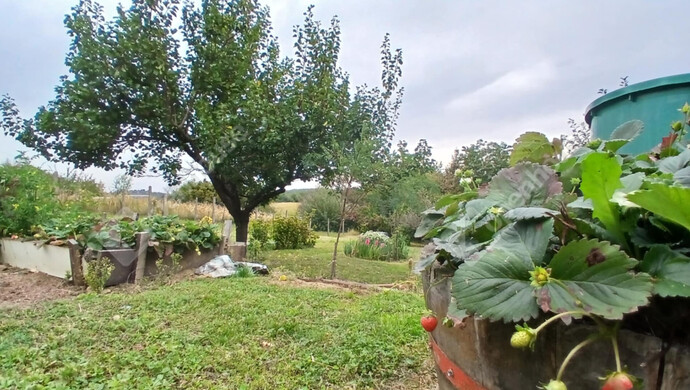 21. kép | Eladó Zárt kert, Zalaegerszeg (#177226)