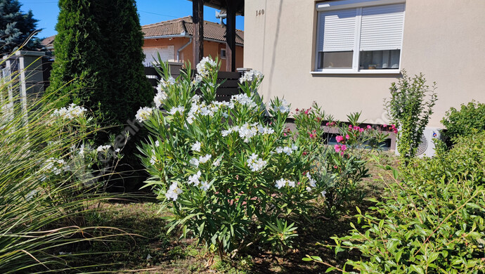 0. kép | Eladó Családi ház, Balatonlelle (#177651)