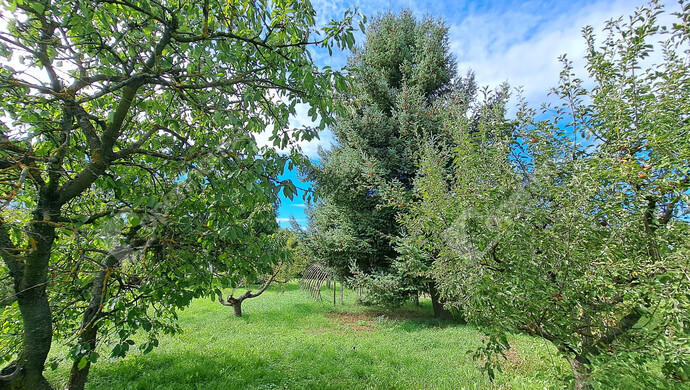 18. kép | Eladó Családi ház, Marcali (#178798)