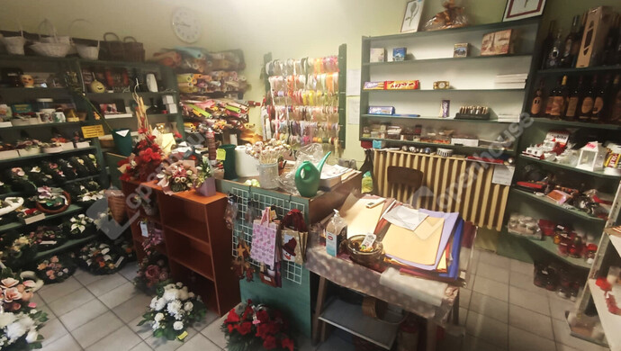 4. kép | Eladó Családi ház, Zsombó (#179225)