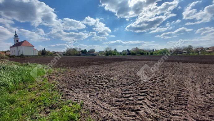0. kép | Eladó Telek, Császár (#181311)