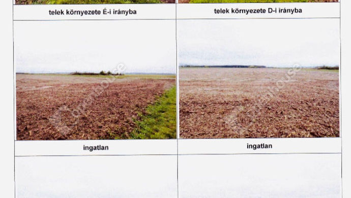 4. kép | Eladó Ipari ingatlan, Tótszerdahely (#172717)