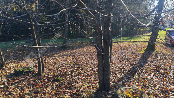 41. kép | Eladó Nyaraló, Letenye (#178652)