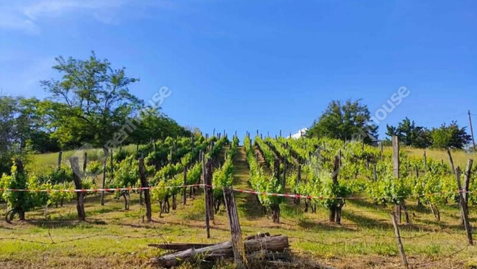 0. kép | Eladó Telek, Kőröshegy (#176631)