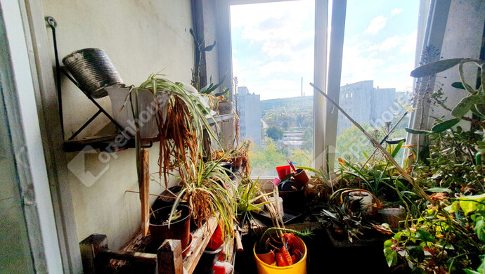 9. kép | Eladó Társasházi lakás, Miskolc (#177532)