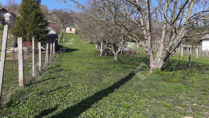 1. kép | Eladó Családi ház, Gősfa (#178305)