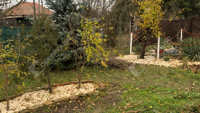 30. kép | Eladó Zárt kert, Szatymaz (#172857)