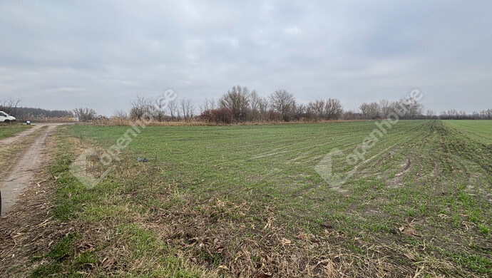 2. kép | Eladó Telek, Csévharaszt (#178902)