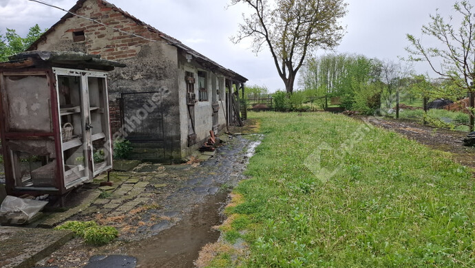 19. kép | Eladó Családi ház, Gyékényes (#174795)
