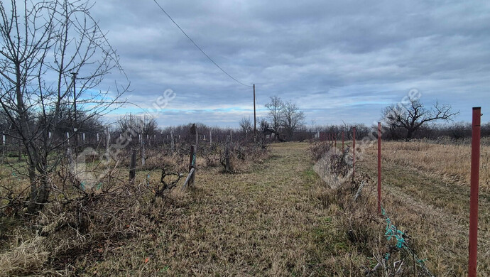 2. kép | Eladó Telek, Sülysáp (#178797)