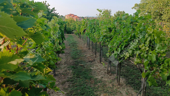 32. kép | Eladó Családi ház, Marcali (#177837)