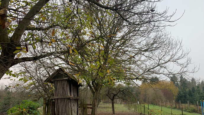 78. kép | Eladó Családi ház, Murakeresztúr (#178378)