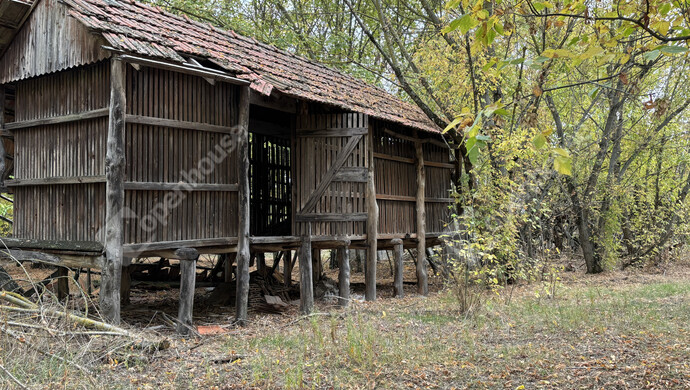 21. kép | Eladó Tanya, Balástya (#178144)