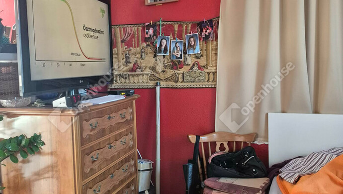 9. kép | Kiadó Családi ház, Biatorbágy (#180162)