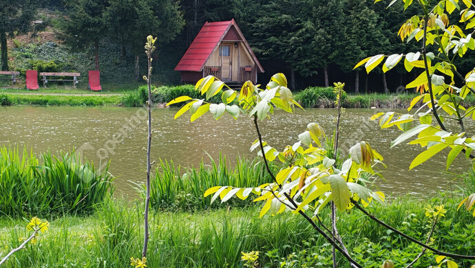 50. kép | Eladó Családi ház, Ötvöskónyi (#181241)