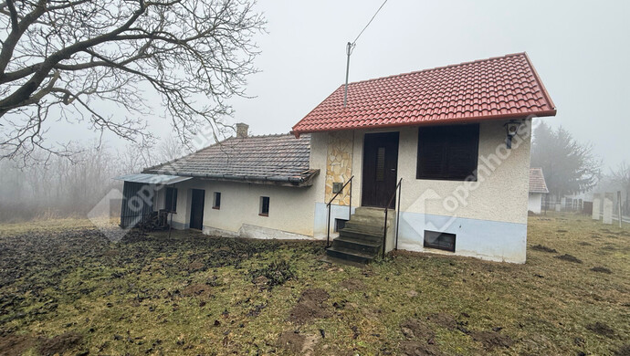 9. kép | Eladó Zárt kert, Gyűrűs (#179596)