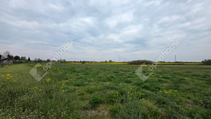 5. kép | Eladó Telek, Mályi (#181150)