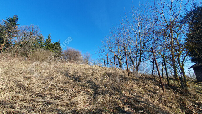 101. kép | Eladó Nyaraló, Homokkomárom (#180173)