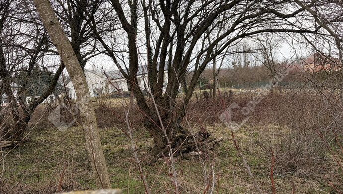 1. kép | Eladó Telek, Kiskutas (#180245)