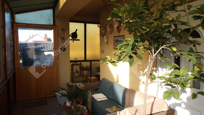 13. kép | Eladó Családi ház, Pápa (#178950)