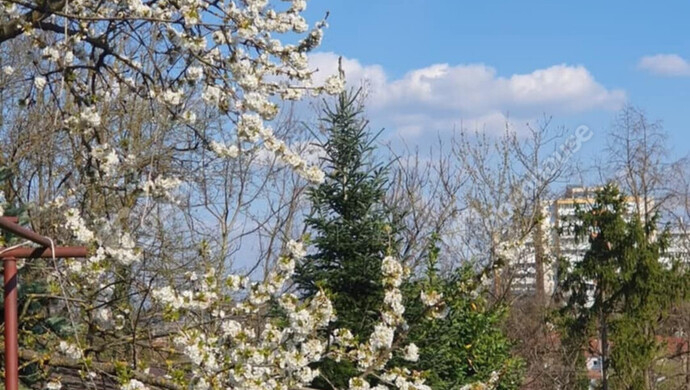 22. kép | Eladó Családi ház, Zalaegerszeg (#177461)