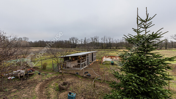 37. kép | Eladó Tanya, Bugyi (#179028)