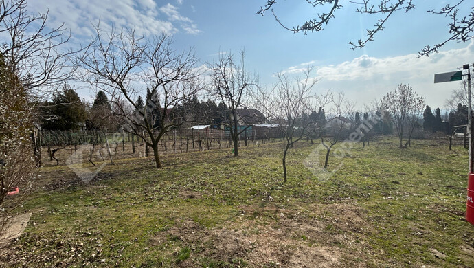 5. kép | Eladó Zárt kert, Győr (#180204)