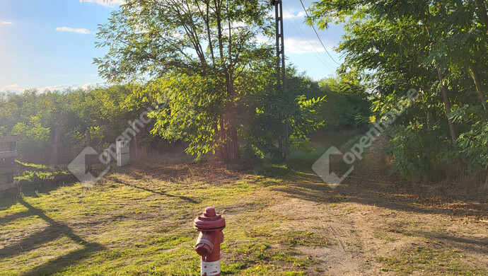 13. kép | Eladó Családi ház, Csévharaszt (#177560)