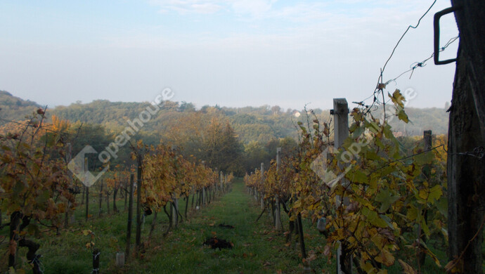 18. kép | Eladó Családi ház, Zalaegerszeg (#166699)
