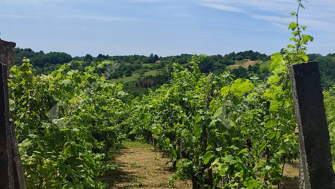 29. kép | Eladó Nyaraló, Homokkomárom (#174607)