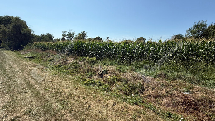 4. kép | Eladó Telek, Nagykutas (#176517)