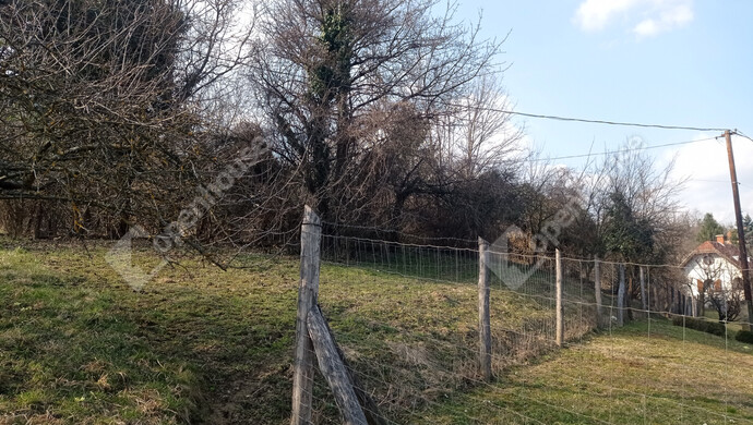 7. kép | Eladó Családi ház, Zalaegerszeg (#180616)