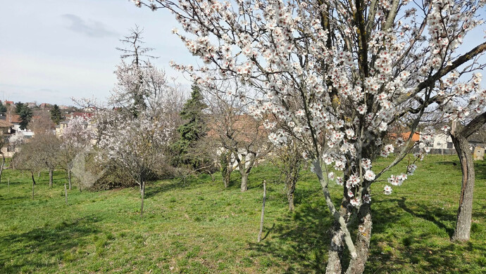 0. kép | Székesfehérvár eladó telek | Eladó Telek, Székesfehérvár (#180413)